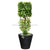 Silk Plants Direct Iron Cylinder w/ Curly Ivy - Green - Pack of 1