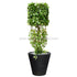 Silk Plants Direct Iron Cylinder w/ Curly Ivy - Green - Pack of 1