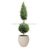 Silk Plants Direct Italian Cypress Topiary - Green - Pack of 1