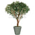 Silk Plants Direct Italian Olive Tree - Green - Pack of 1