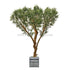 Silk Plants Direct Italian Olive Wall Tree - Green - Pack of 1