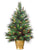 Lighted Pine Tree - Green - Pack of 2