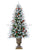 Lighted Pine Tree Frosted Snow w/ Cones & Berries - Green - Pack of 1