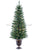 Lighted Pine Tree - Green - Pack of 1