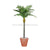 Silk Plants Direct Majestic Palm - Green - Pack of 1