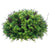 Silk Plants Direct Mini Boxwood Mound - Green - Pack of 1