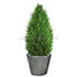 Silk Plants Direct Mini Cypress Water Drop - Green - Pack of 1