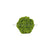 Silk Plants Direct Moss Ball - Green - Pack of 4