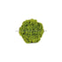 Silk Plants Direct Moss Ball - Green - Pack of 6