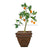 Orange Tree - Green - Pack of 2