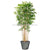 Silk Plants Direct Panda Bamboo Tree - Green - Pack of 1