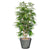 Silk Plants Direct Panda Bamboo Tree - Green - Pack of 2