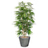 Silk Plants Direct Panda Bamboo Tree - Green - Pack of 2