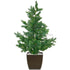 Silk Plants Direct Picea Pine Tree - Green - Pack of 1