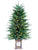 Pine Tree Feathered with Lights - Green - Pack of 1