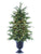 Pine Tree Northeast with Lights - Green - Pack of 1