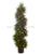 Pre Lit Topiary Spiral Tree Cedar - Green - Pack of 2