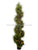 Pre Lit Topiary Spiral Tree Cedar - Green - Pack of 1