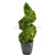 Silk Plants Direct Preserved Boxwood Spiral - Green - Pack of 1