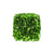 Silk Plants Direct Preserved Boxwood Square Cube - Green - Pack of 4