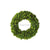 Silk Plants Direct Preserved Boxwood Round Wreath - Green - Pack of 2