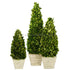 Silk Plants Direct Preserved Boxwood Topiary Cones - Green - Pack of 1