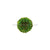 Silk Plants Direct Preserved Boxwood Ball - Green - Pack of 4