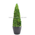 Silk Plants Direct Preserved Boxwood Cone Topiary - Green - Pack of 1