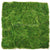 Silk Plants Direct Preserved Grass Mat - Green - Pack of 6