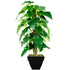 Silk Plants Direct Rainforest Climber On Pole - Green - Pack of 2