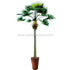 Silk Plants Direct Royal Fan Palm Tree - Green - Pack of 1