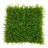 Silk Plants Direct Wheat Grass Square Panel - Green - Pack of 12