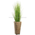 Silk Plants Direct Zebra Onion Grass - Green - Pack of 2