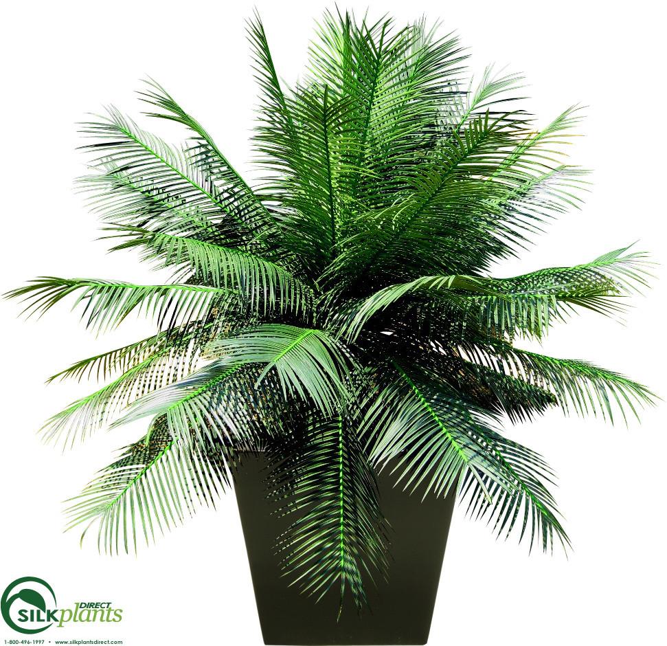 revive areca palm Silk Plants Direct Outdoor Areca Palm Plant - Green