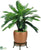 Outdoor Cycas Palm Deluxe - Green - Pack of 1