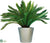 Silk Plants Direct Outdoor Cycas Palm Extra Deluxe - Green - Pack of 1