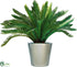 Silk Plants Direct Outdoor Cycas Palm Extra Deluxe - Green - Pack of 1
