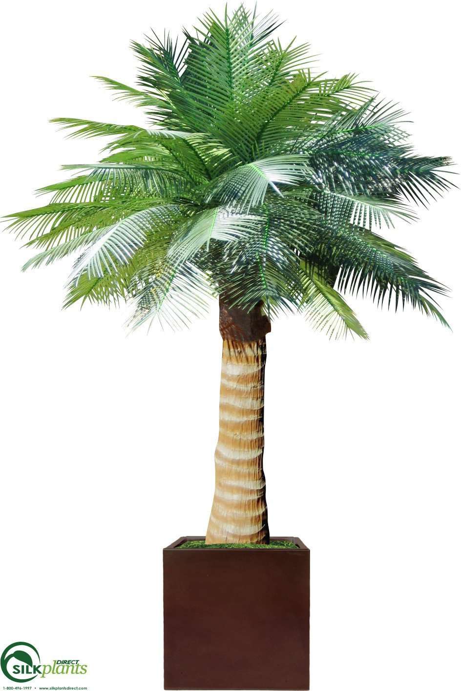 fake coconut palm tree Silk Plants Direct Outdoor Coconut Palm Tree - Green