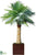 Outdoor Coconut Palm Tree - Green - Pack of 1