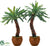 Silk Plants Direct Outdoor Dactylifera Palm Tree - Green - Pack of 1