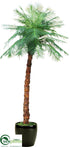 Silk Plants Direct Outdoor Madagascar Palm Tree - Green - Pack of 1