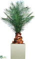 Silk Plants Direct Outdoor Pineapple Palm Tree - Green - Pack of 1
