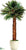 Silk Plants Direct Preserved Fan Palm Tree - Green - Pack of 1