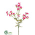 Silk Plants Direct Sweet William Spray - Fuchsia - Pack of 12
