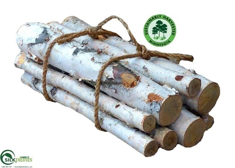 White Birch Logs 