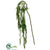 Weeping Willow Branch - Green - Pack of 4