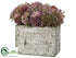 Silk Plants Direct Allium, Starflower - Lavender Violet - Pack of 1