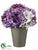 Hydrangea - Purple Lavender - Pack of 6