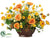 Ranunculus, Daisy, Poppy - Orange Green - Pack of 1