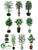 Office Trees - Assorted - Pack of 10
